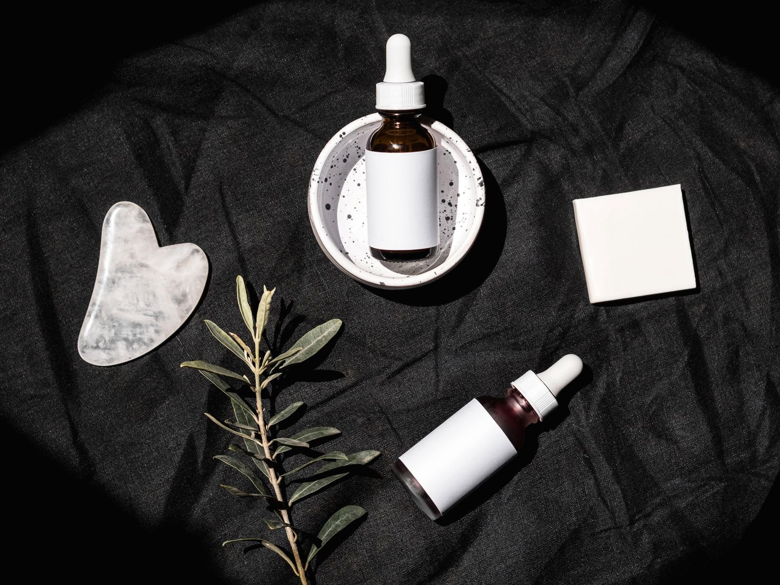 A dark flat lay of skincare bottles with an olive branch